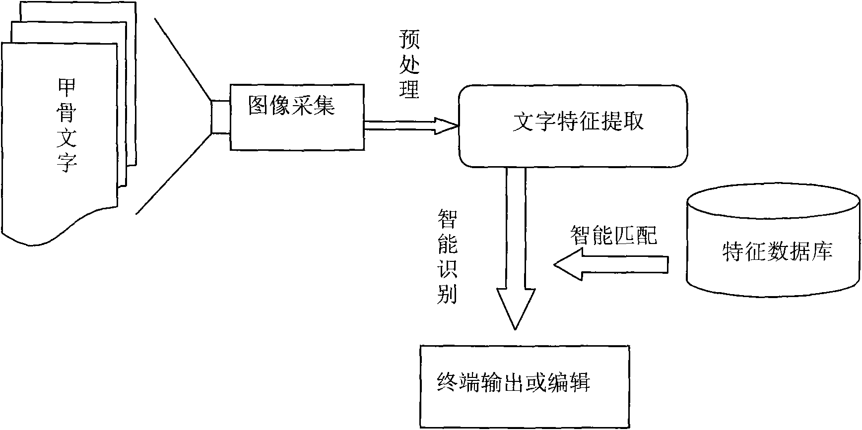 Oracle video input system and implementation method