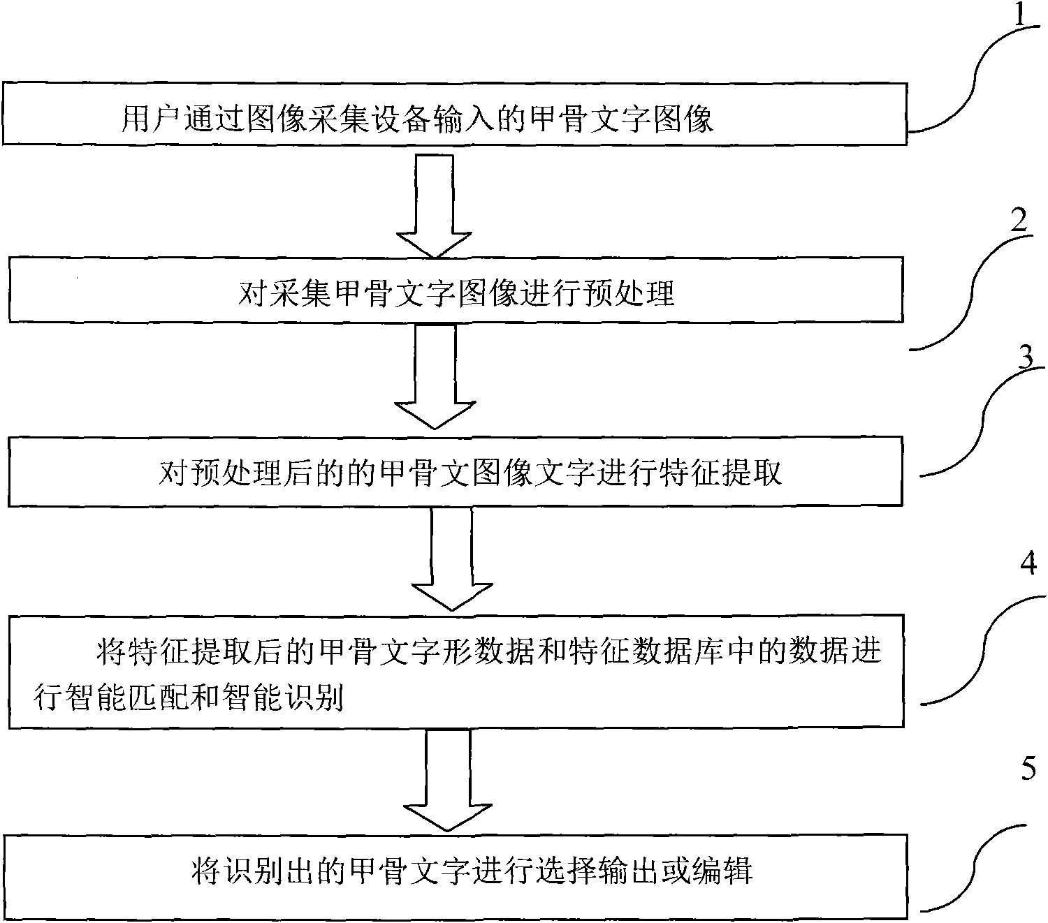 Oracle video input system and implementation method