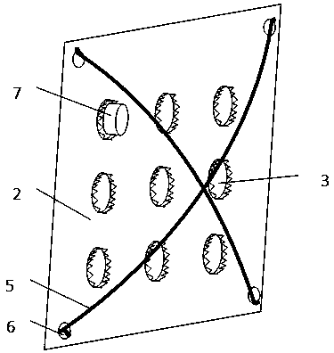 Stereoscopic planting device