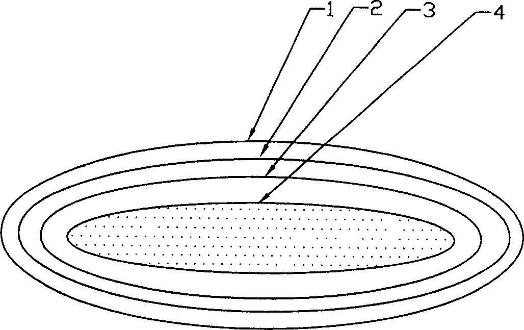 Medication in use for releasing fatigue and preparation method