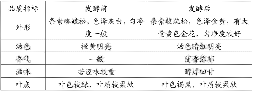 Golden flower fermented seabuckthorn tea and making method thereof