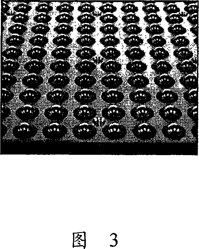 Manufacturing method of optical film