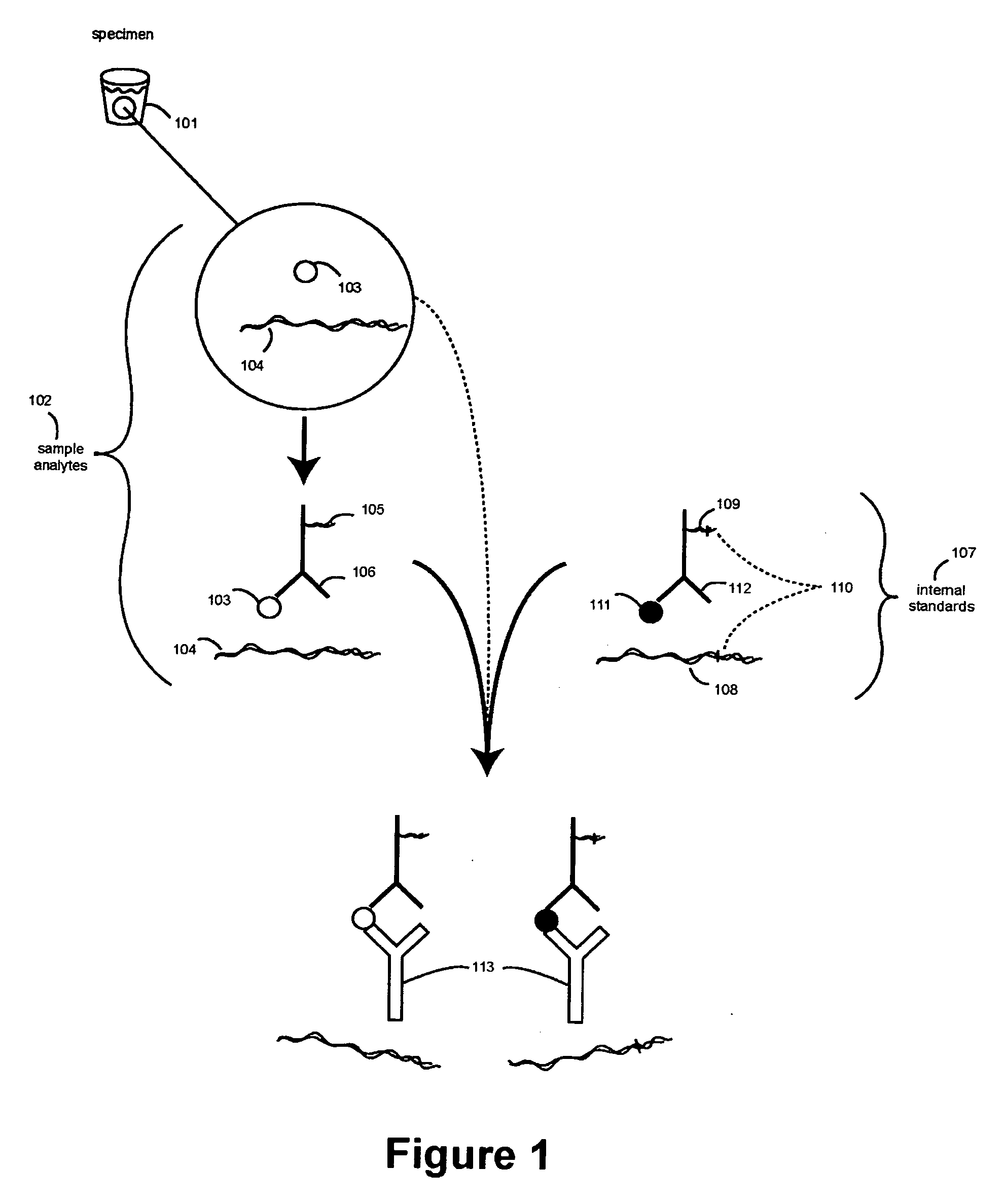 Methods and compositions for assaying analytes