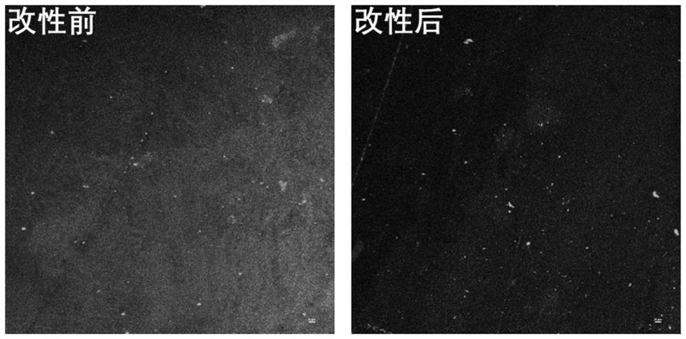 Intraocular lens coating with excellent biological antifouling performance and preparation method thereof