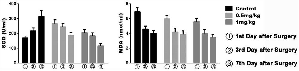 Application of Se@SiO2 nano-selenium core-shell material in flap transplantation