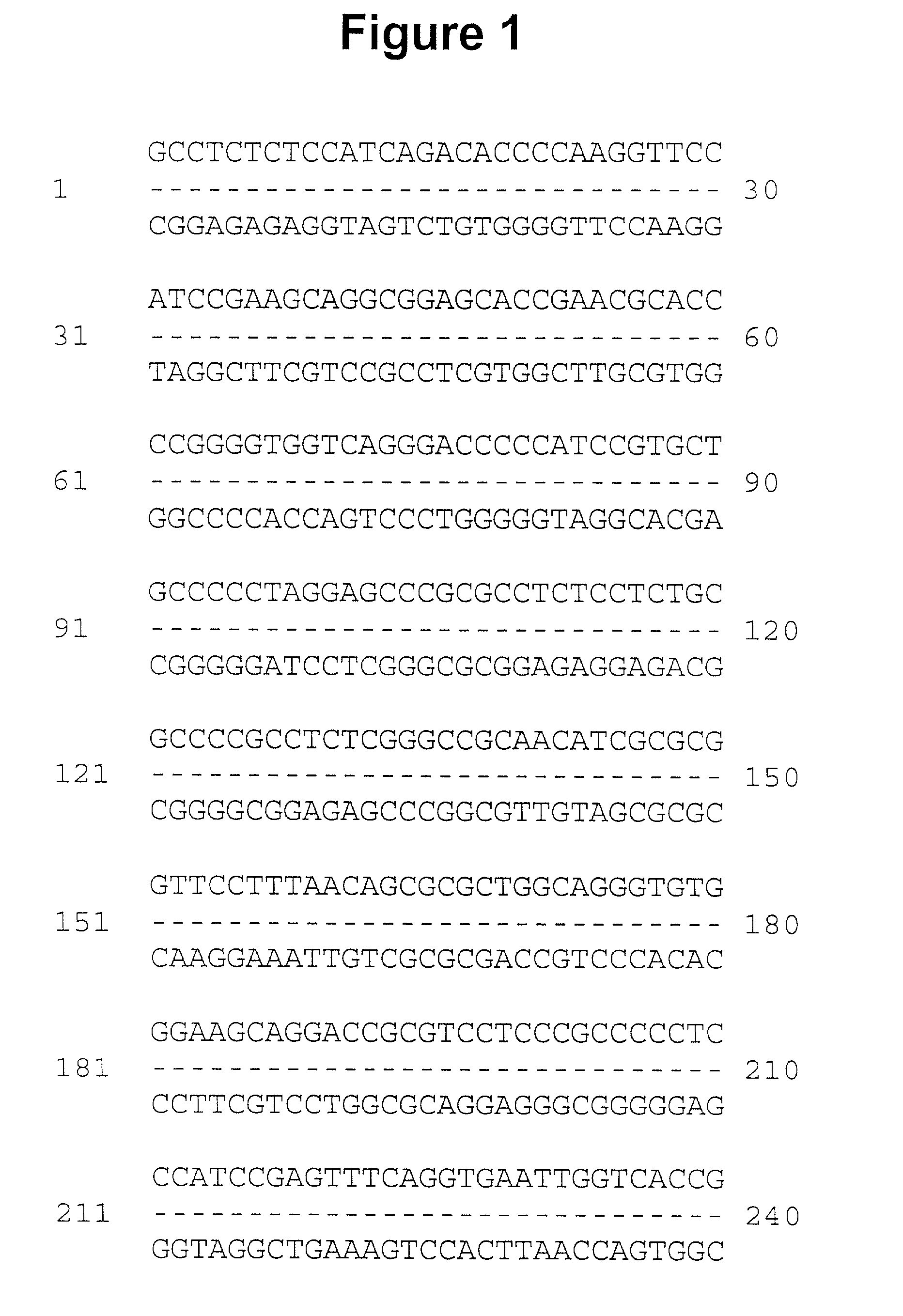 Human occludin, its uses and enhancement of drug absorption using occludin inhibitors