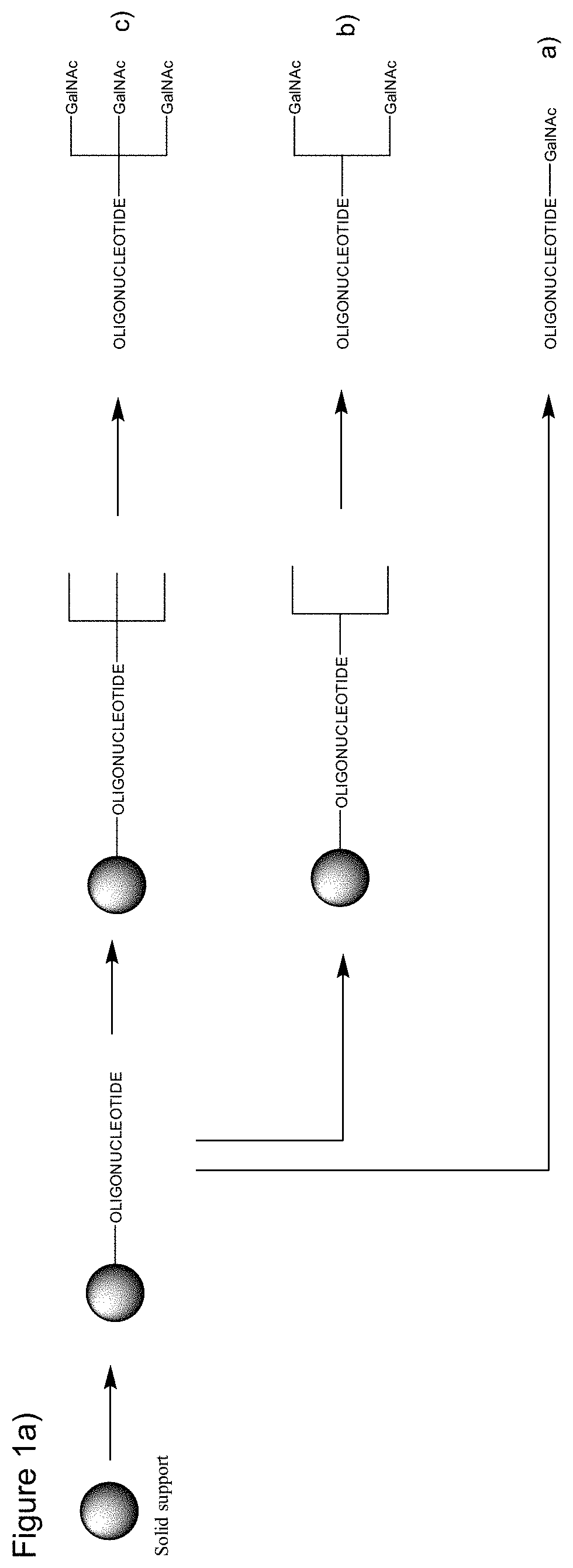 Galnac phosphoramidites, nucleic acid conjugates thereof and their use