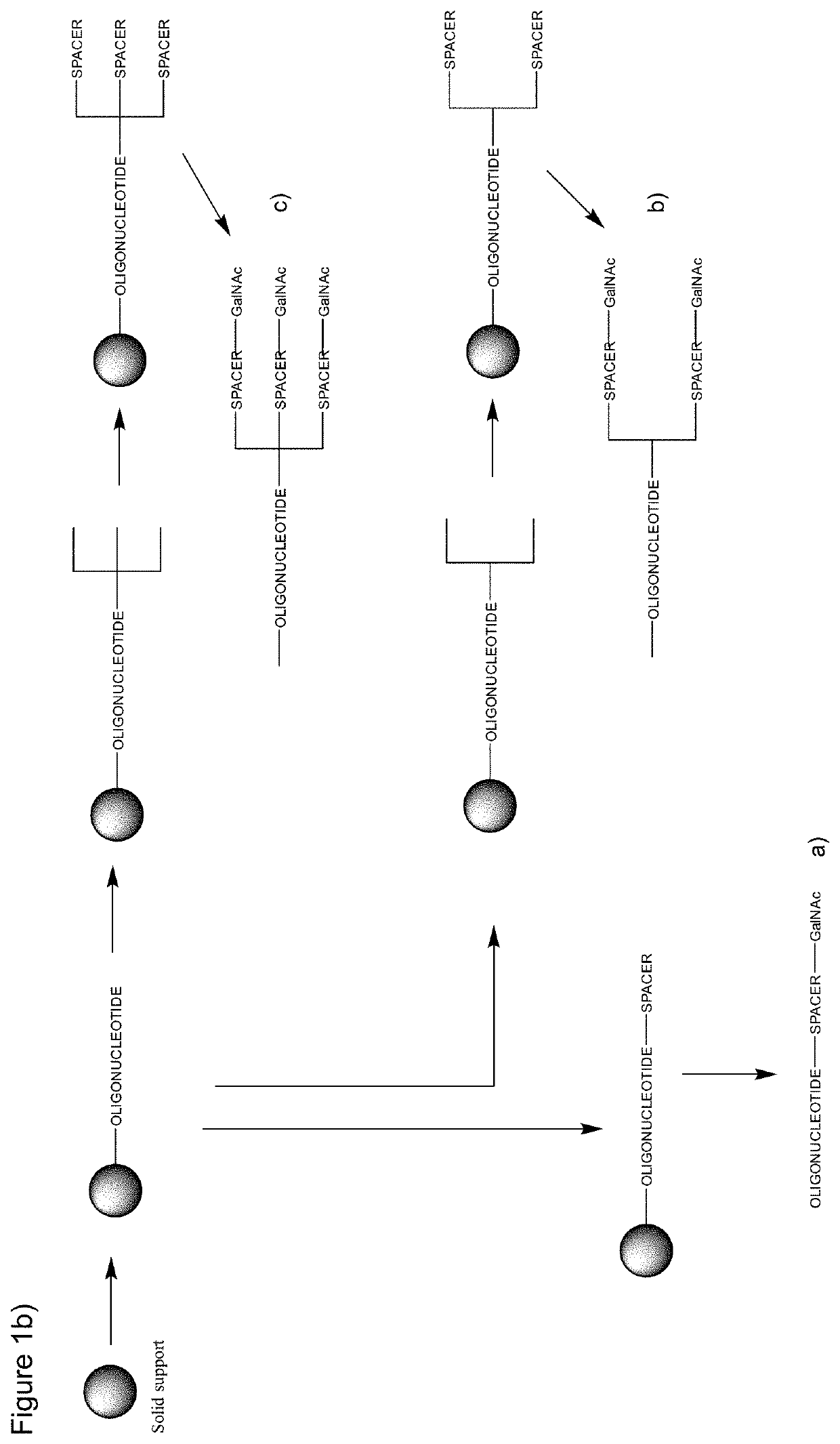 Galnac phosphoramidites, nucleic acid conjugates thereof and their use