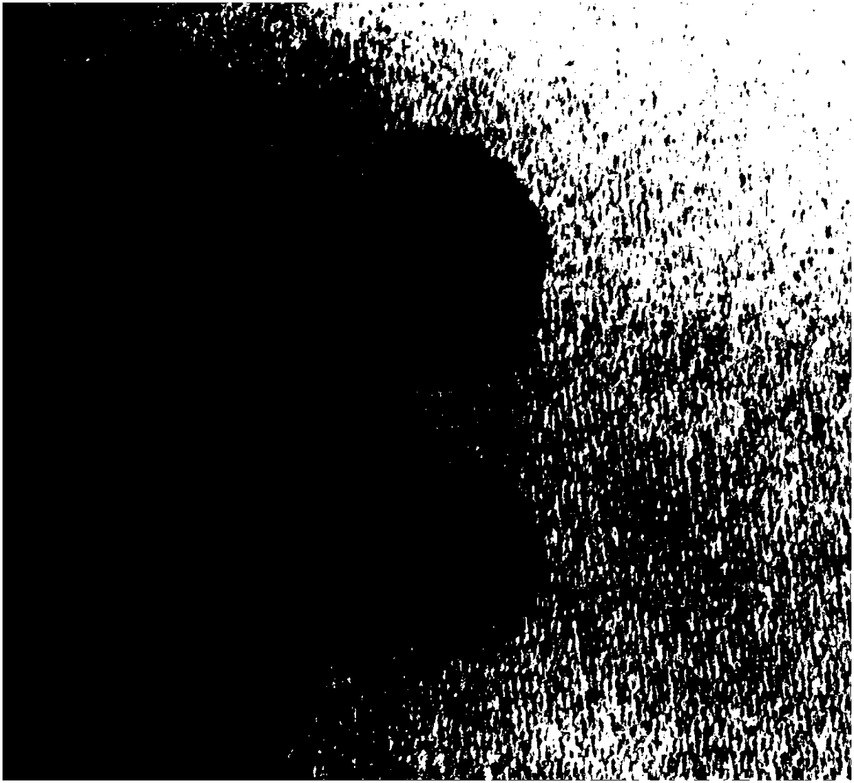 Human epithelial tissue cancer cell detection reagent and preparation method and application thereof