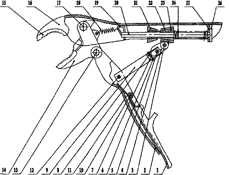 Automatic adjusting locking pliers