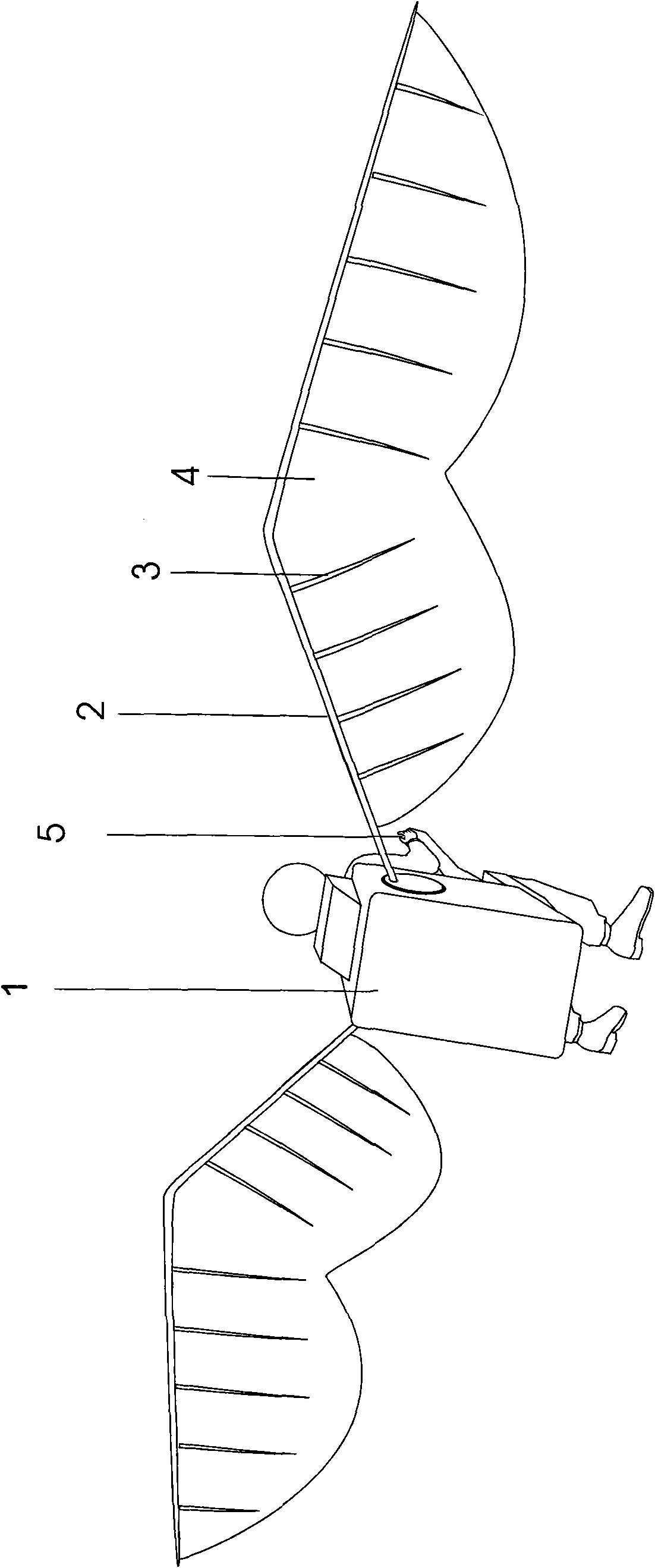 Ornithopter flying in swinging mode