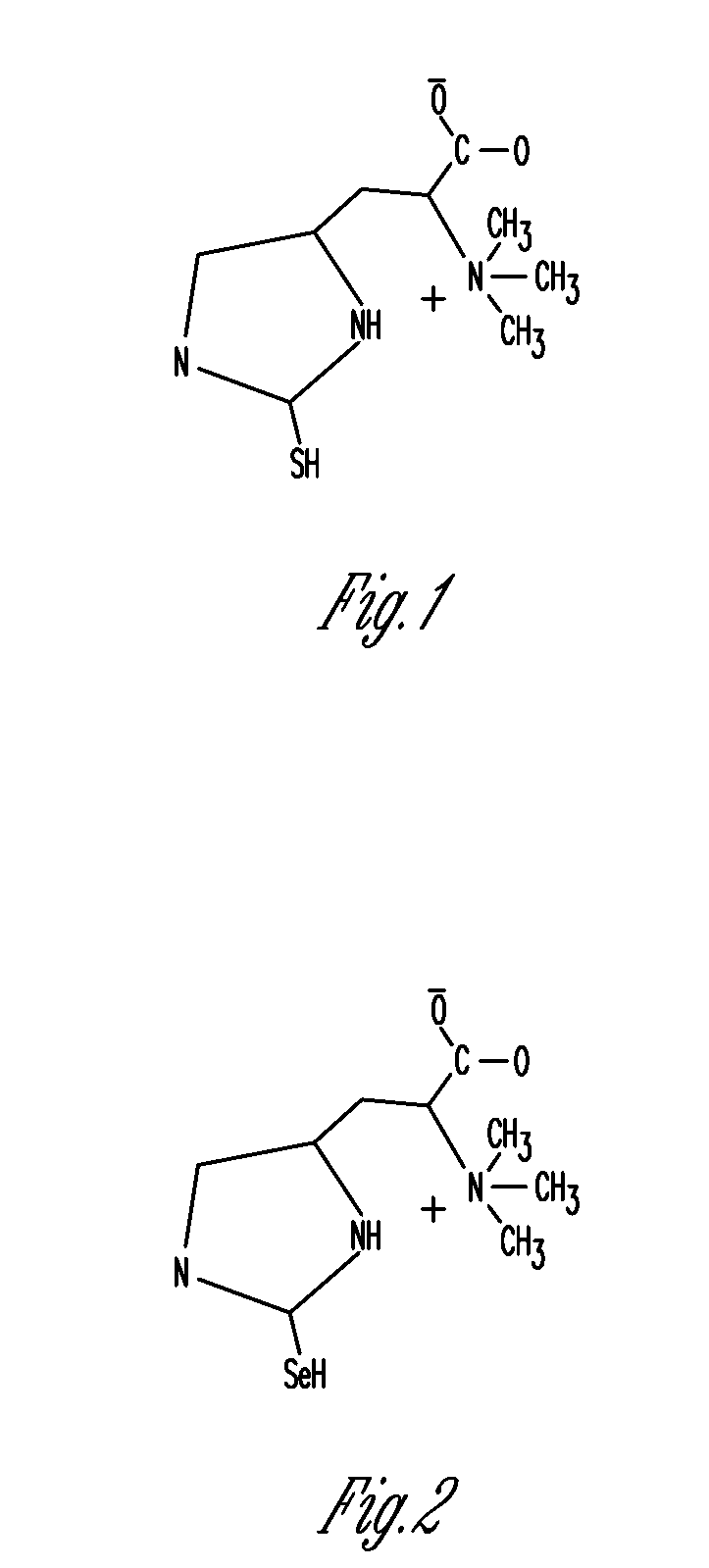 Phytonutrient compositions from mushrooms or filamentous fungi and methods of use