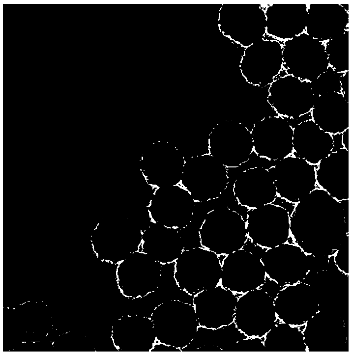 A kind of water-soluble polymer coated special-shaped silica sol, preparation method and application