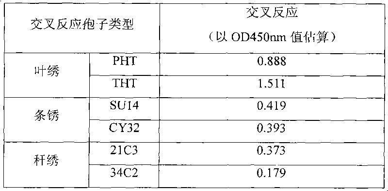 Puccinia triticina f.sp.tritic monoclonal antibody and preparation method and application thereof