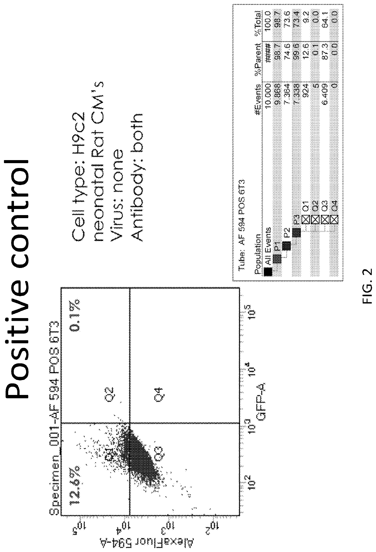 P63 inactivation for the treatment of heart failure