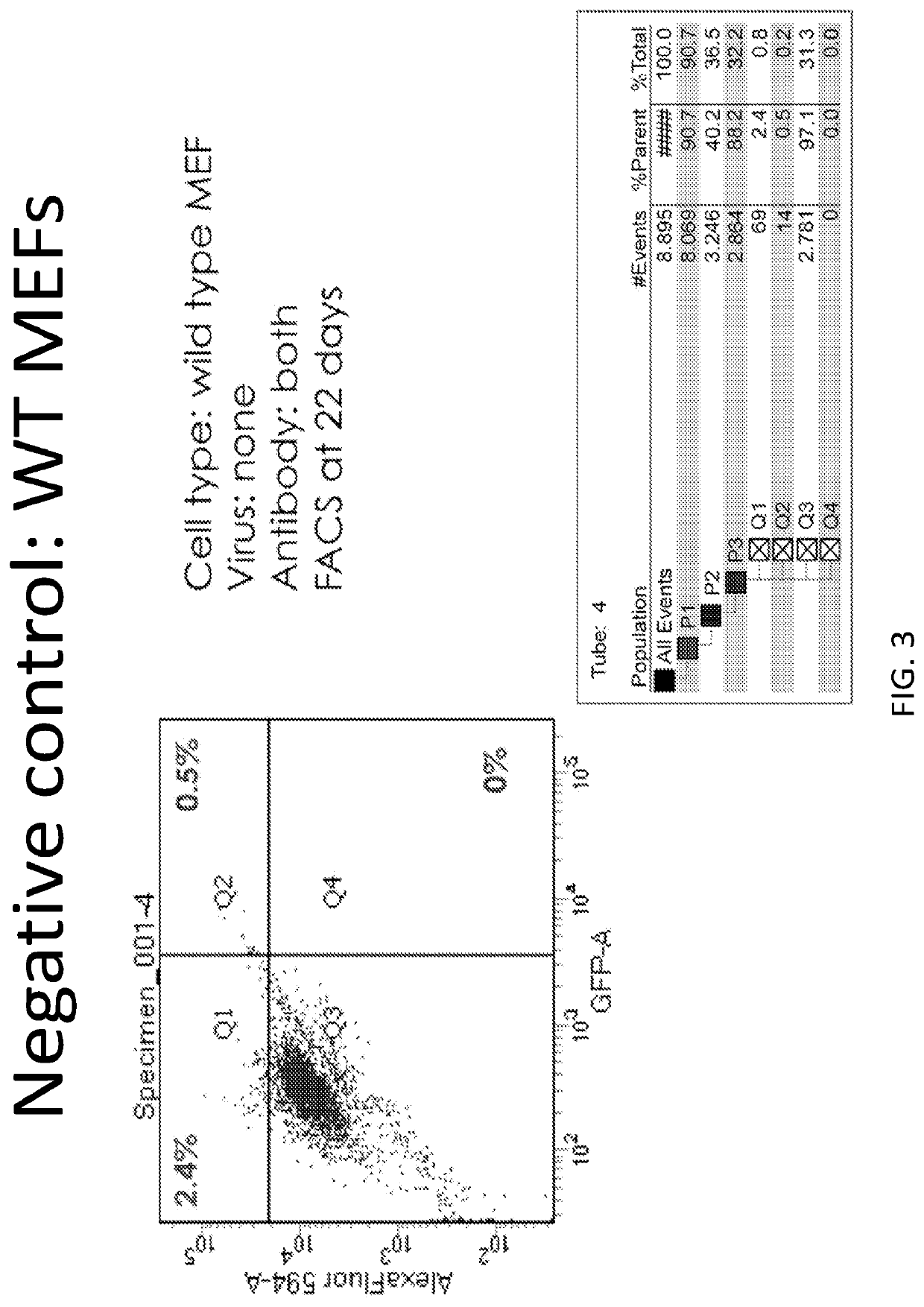 P63 inactivation for the treatment of heart failure