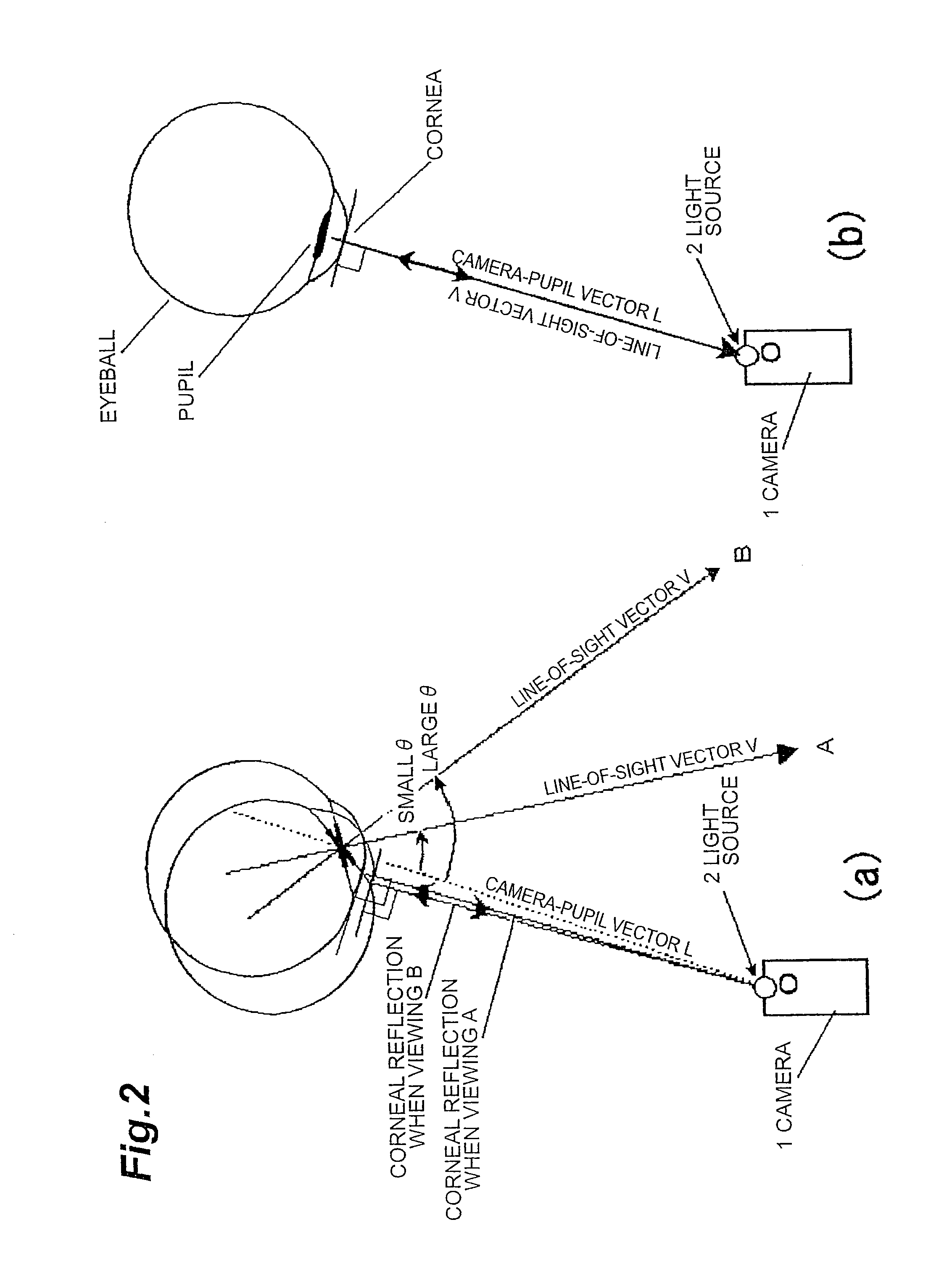 Eyeshot detection device using distance image sensor