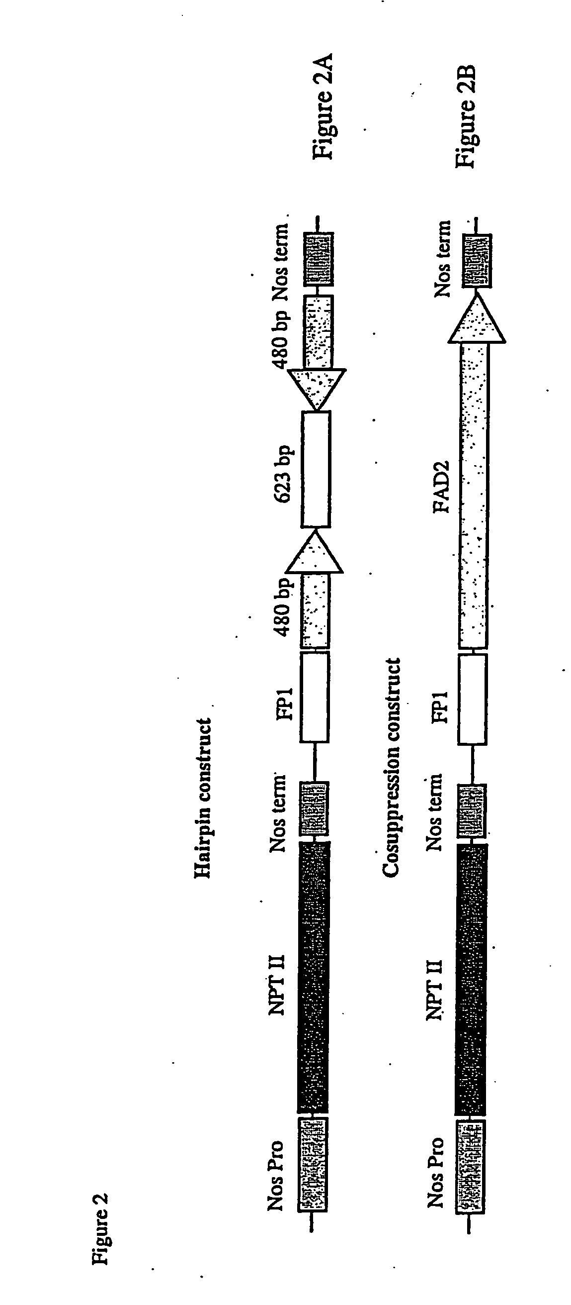 Methods and means for obtaining modified phenotypes