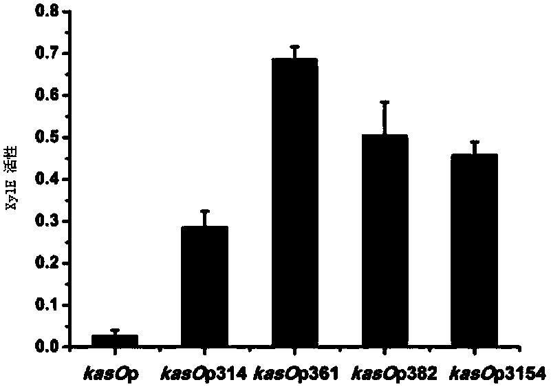 Streptomycete constitutive promoter and applications thereof