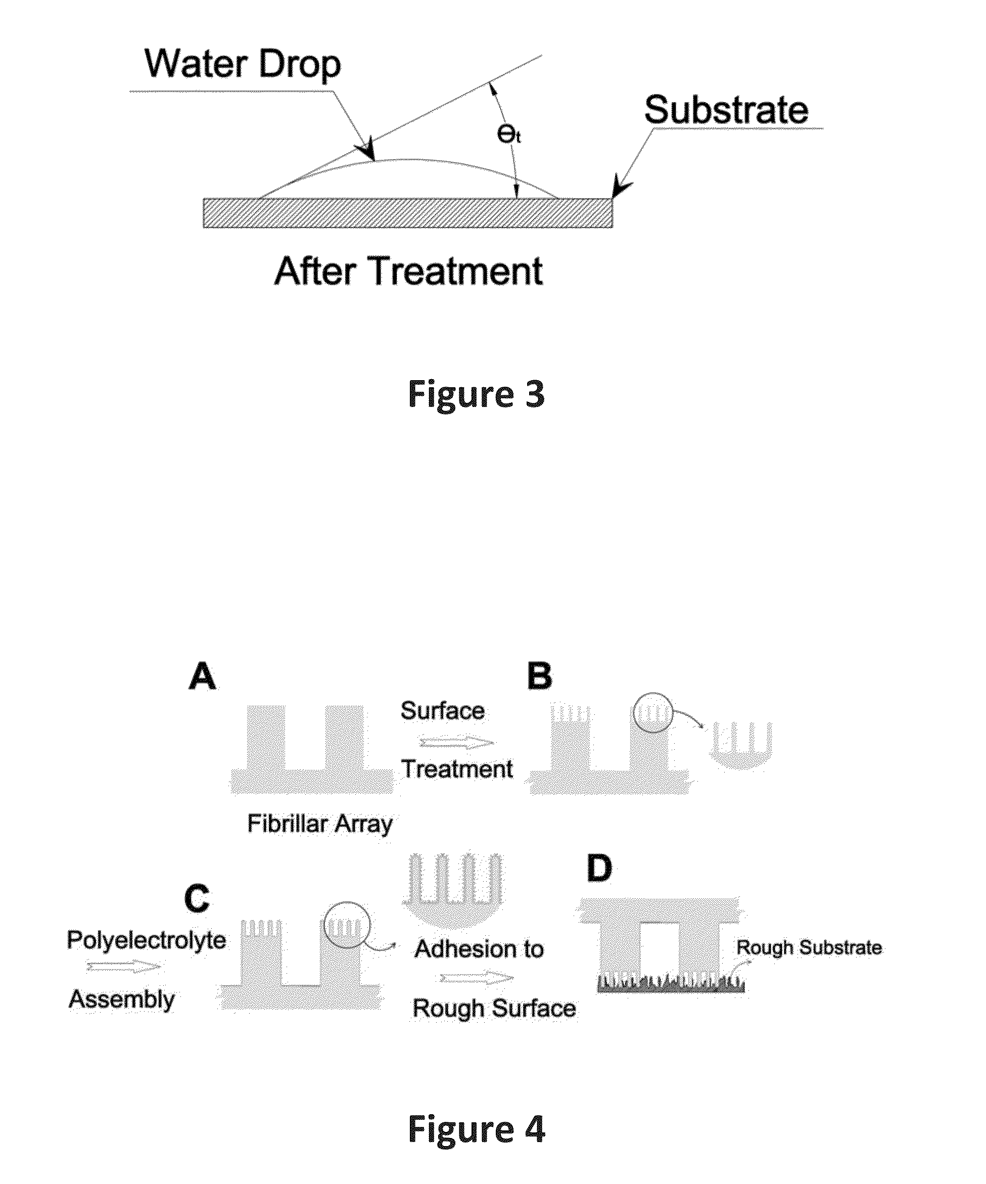 Durable Hydrophilic Dry Adhesives with Hierarchical Structure and Method of Making