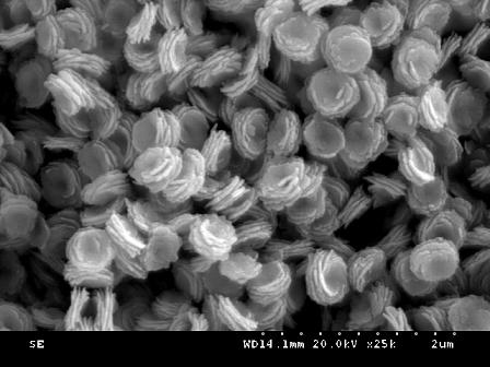 Hierarchical nanostructure bi  <sub>2</sub> o  <sub>3</sub> /(bio)  <sub>2</sub> co  <sub>3</sub> preparation of