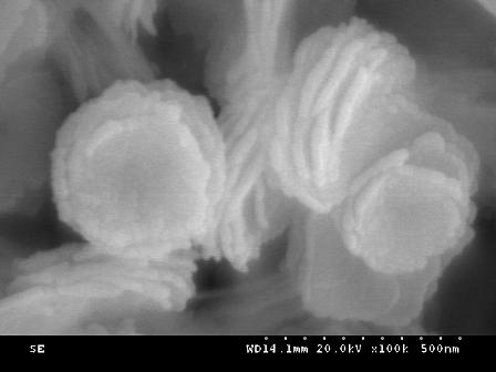 Hierarchical nanostructure bi  <sub>2</sub> o  <sub>3</sub> /(bio)  <sub>2</sub> co  <sub>3</sub> preparation of