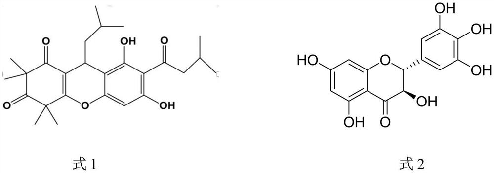 Plant-derived natural bacteriostatic agent or preservative and application thereof