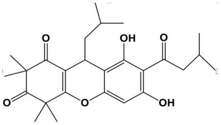 Plant-derived natural bacteriostatic agent or preservative and application thereof