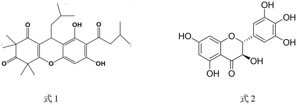 Plant-derived natural bacteriostatic agent or preservative and application thereof