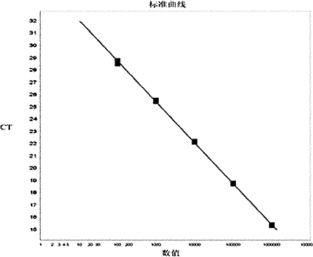 Primers used for amplifying nucleotide segment of nucleocapsid protein gene of H5N1 influenza virus and detection method