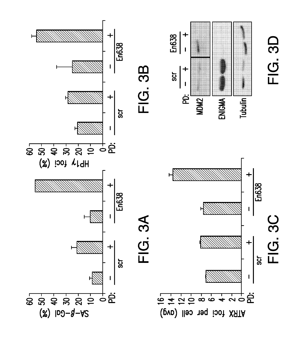 Enigma and cdh18 as companion diagnostics for cdk4 inhibitors