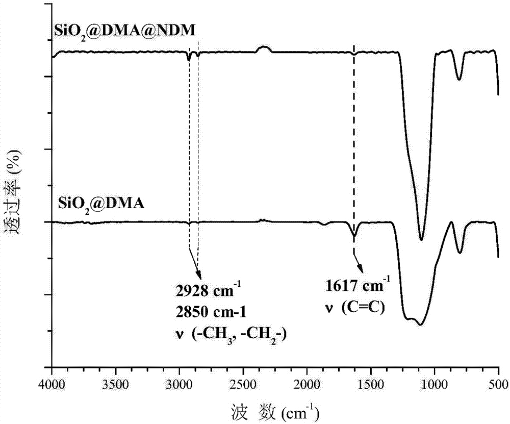 High-hydrophobicity antibacterial adhesion surface taking dopamine as anchor molecule and preparation method thereof