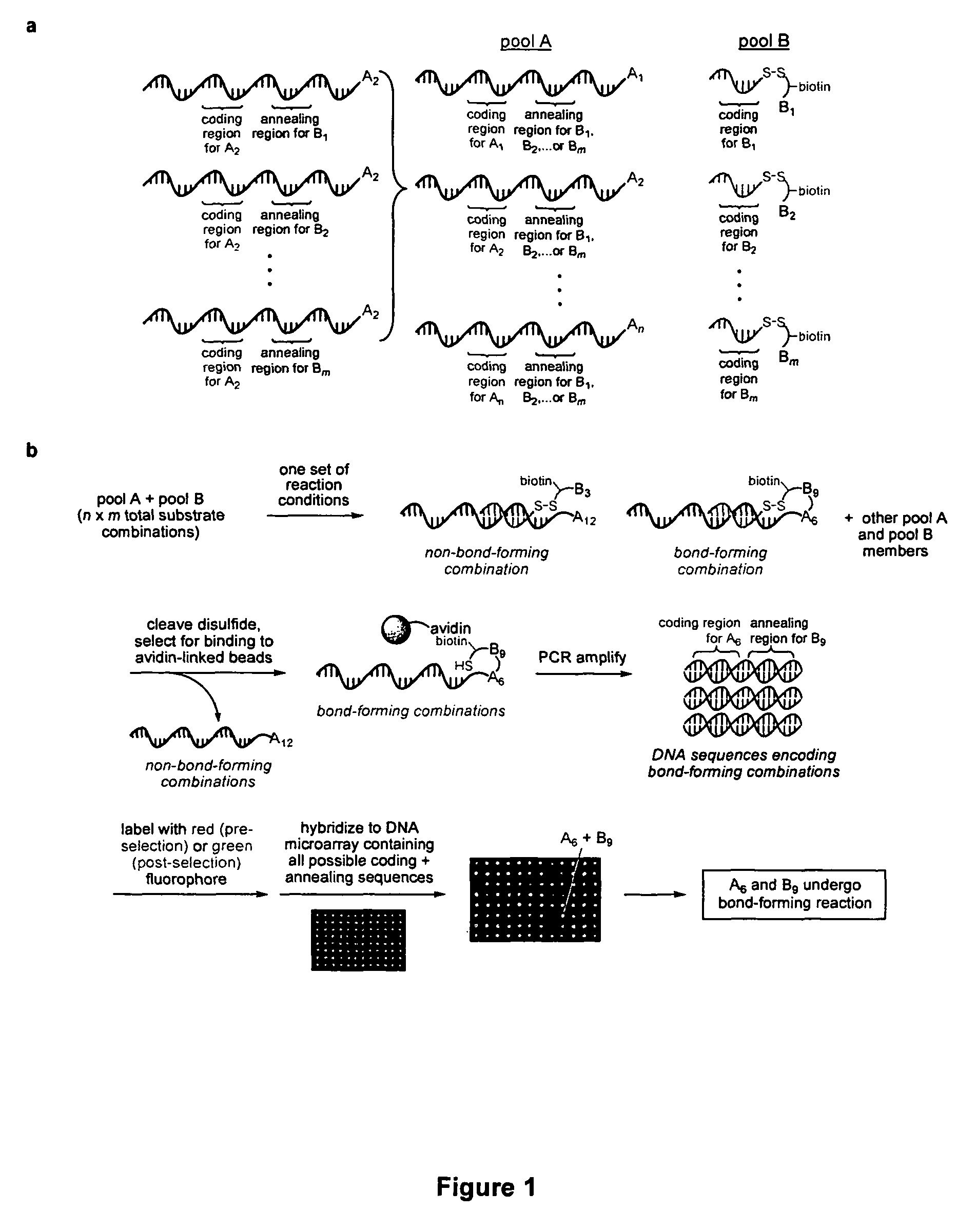 Palladium-catalyzed carbon-carbon bond forming reactions