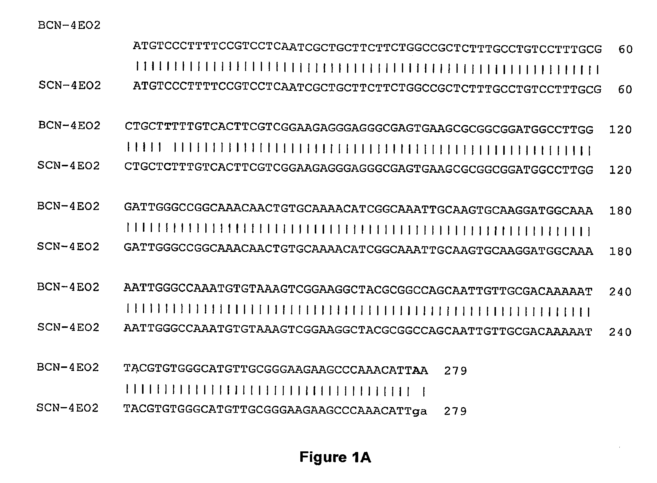 Cyst Nematode Resistant Transgenic Plants