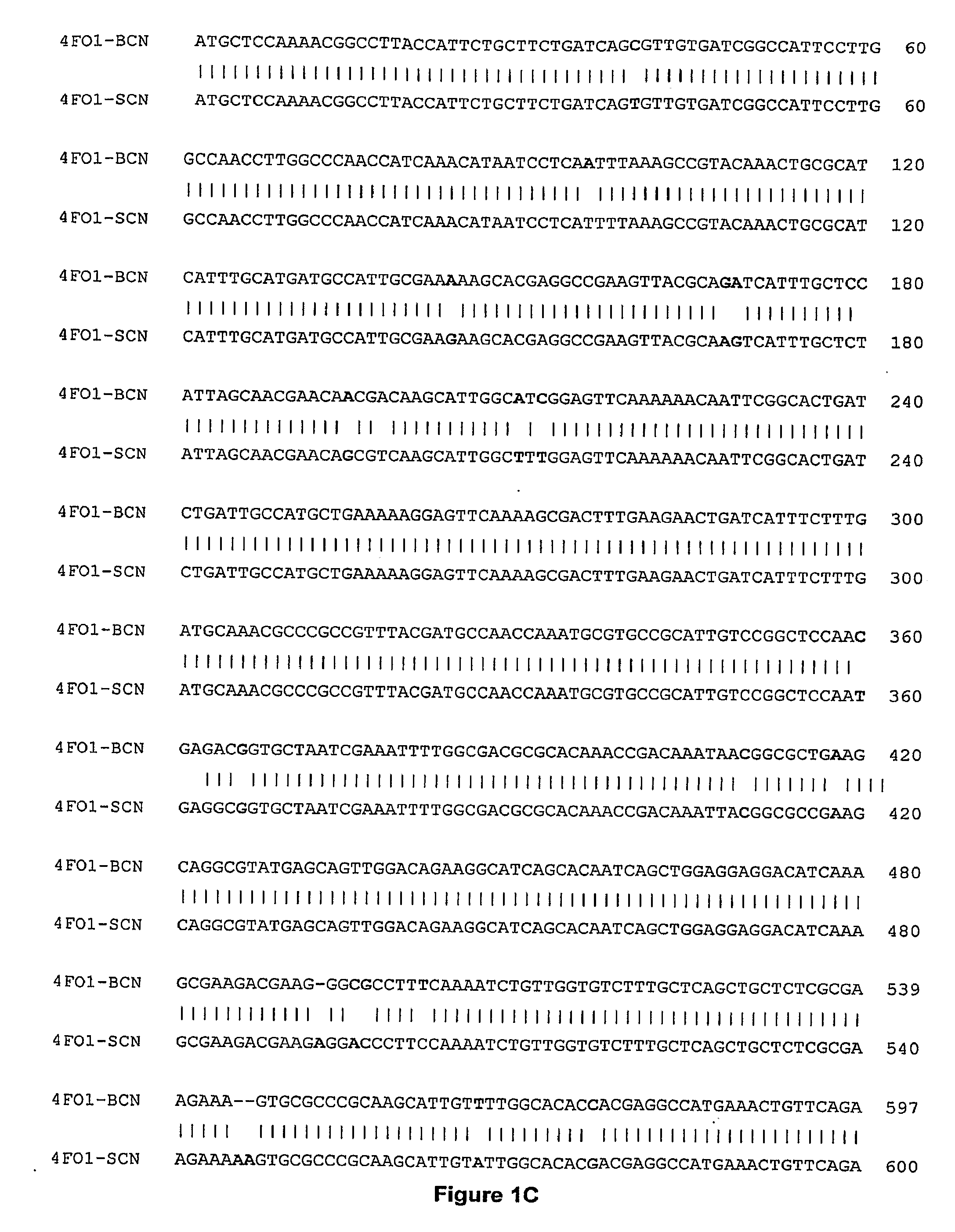 Cyst Nematode Resistant Transgenic Plants