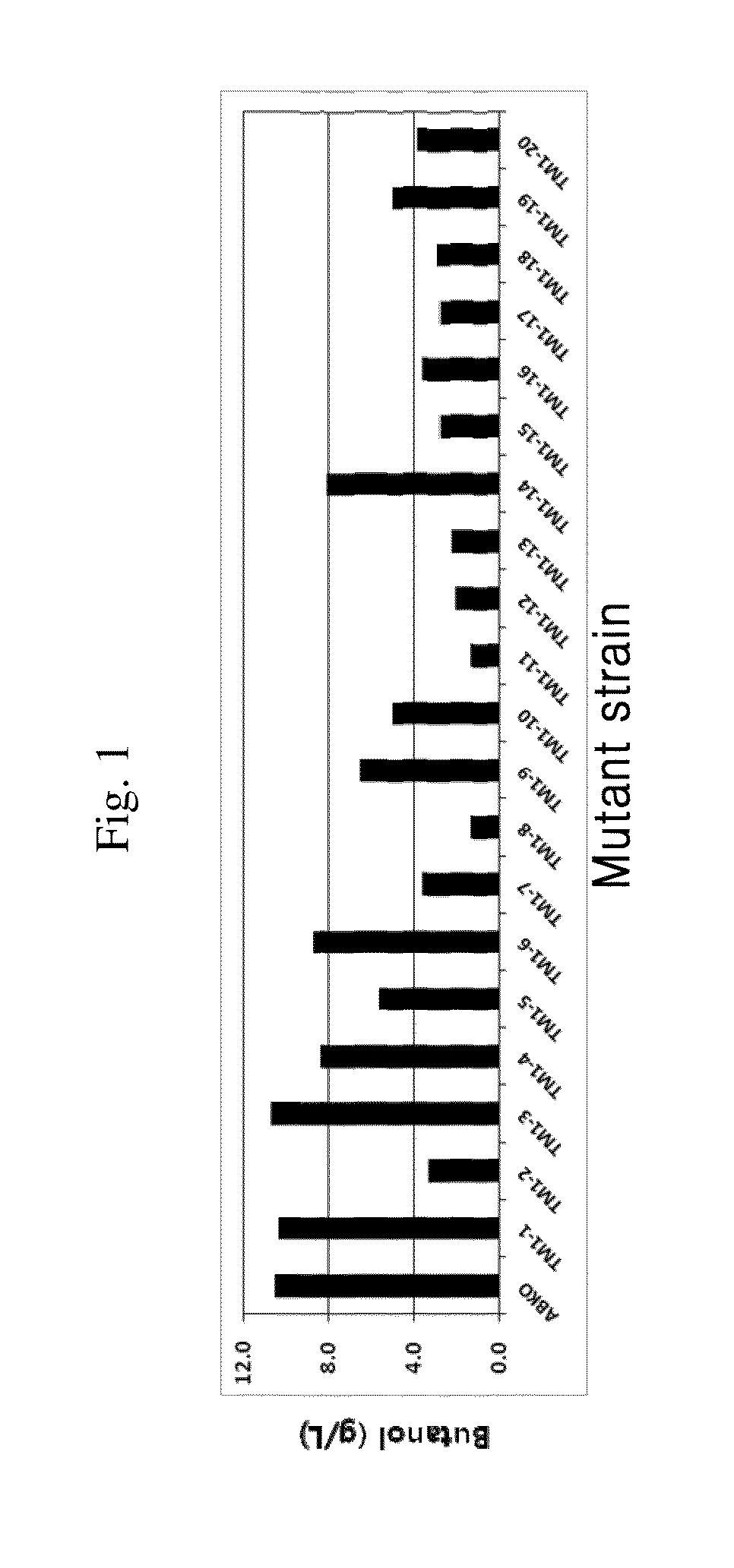 Microorganism capable of simultaneous co-fermentation of mixed sugars and production method of butanol using the same