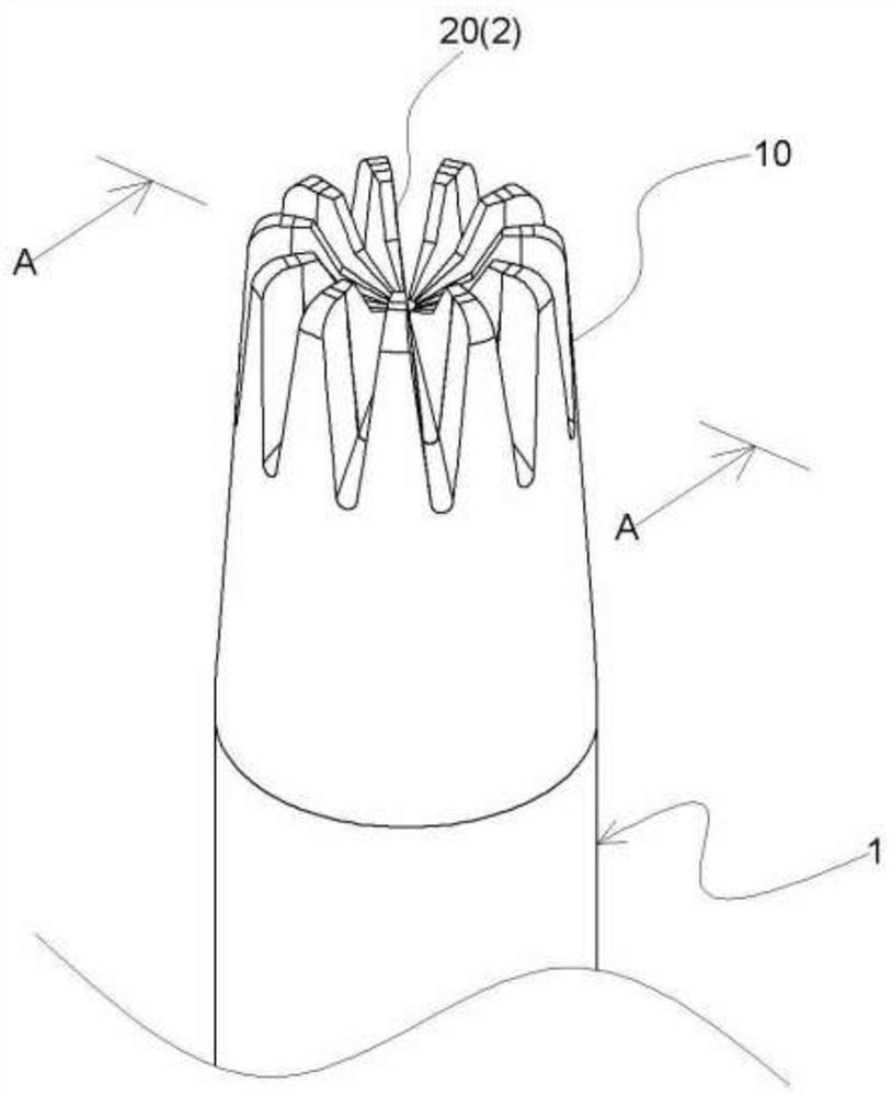 Nose hair cutter