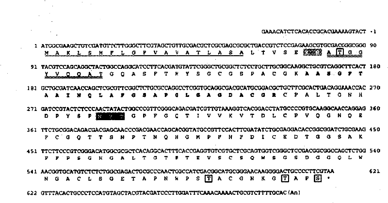 Novel protein having endoglucanase activity, DNA of the protein, and use of the same