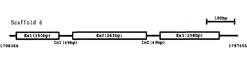 Novel protein having endoglucanase activity, DNA of the protein, and use of the same