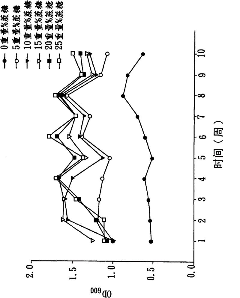 Green tea fermentation broth and production method thereof