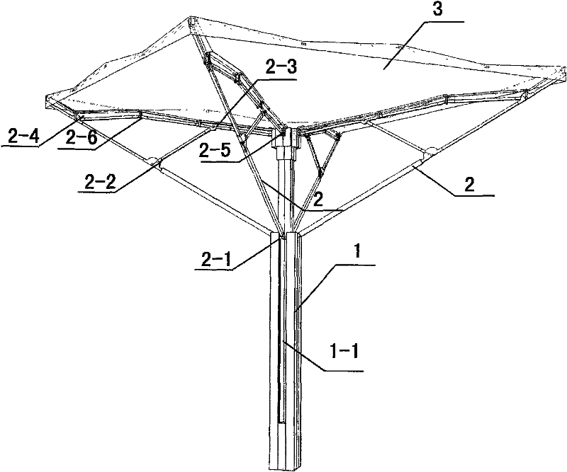 Umbrella flexible draw linked building structure