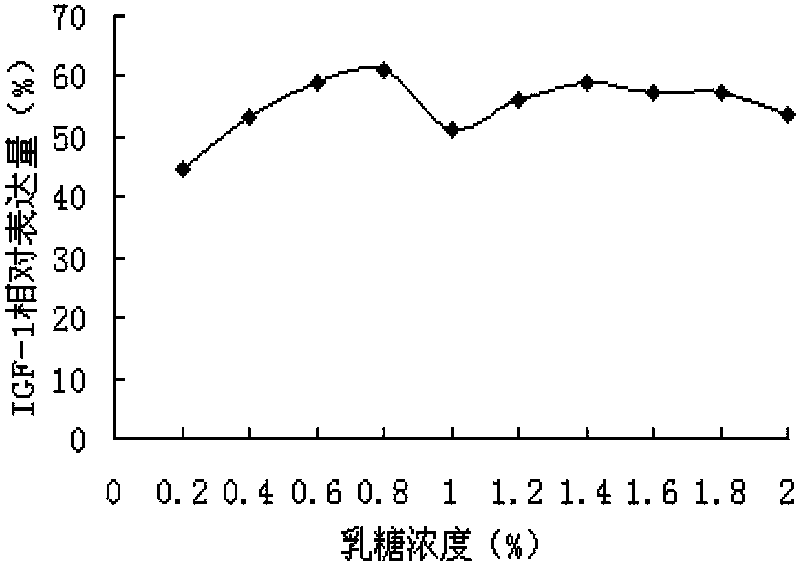 Application of lactose to expression of hIGF-1 (Human Insulin-like Growth Factor-1) by high density fermentation of recombinant colon bacillus