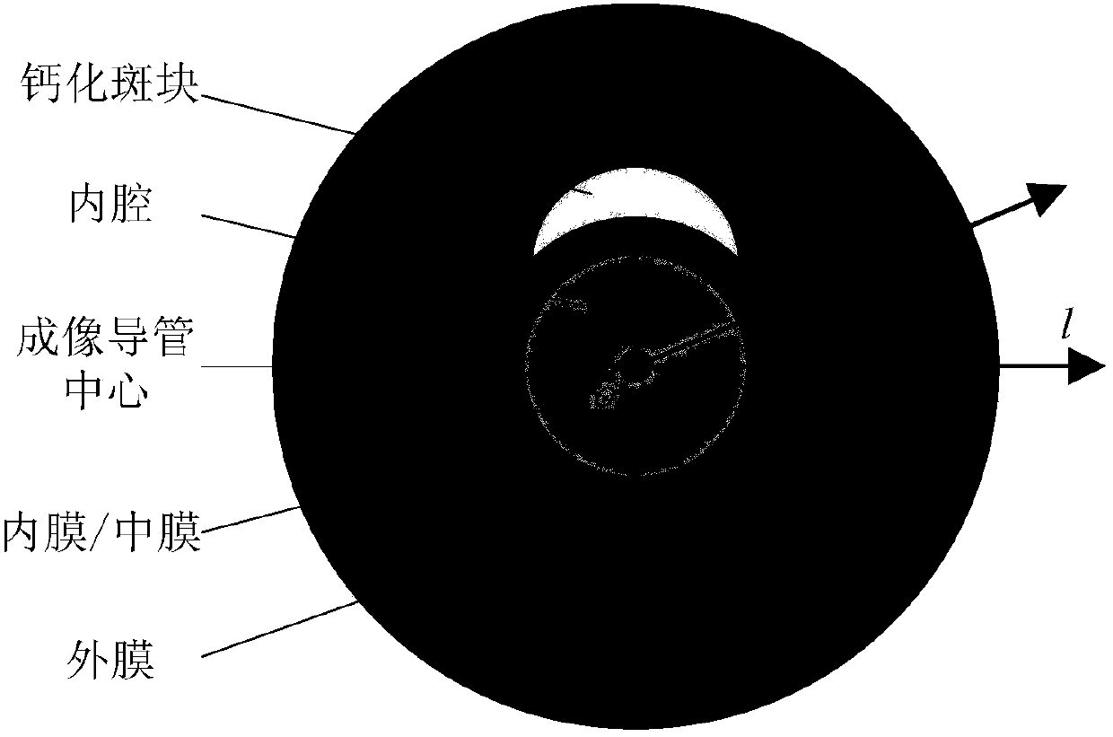 Biological magnetic photoacoustic combined endoscopic imaging method