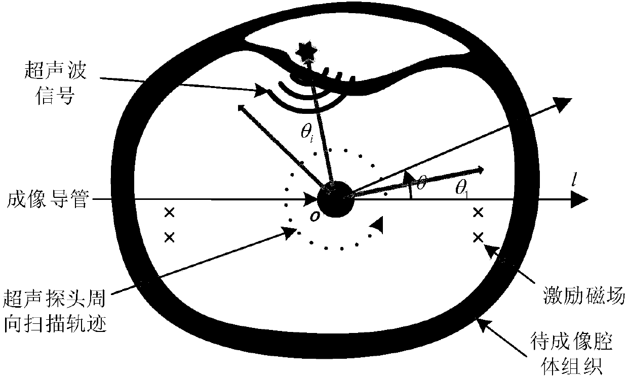 Biological magnetic photoacoustic combined endoscopic imaging method