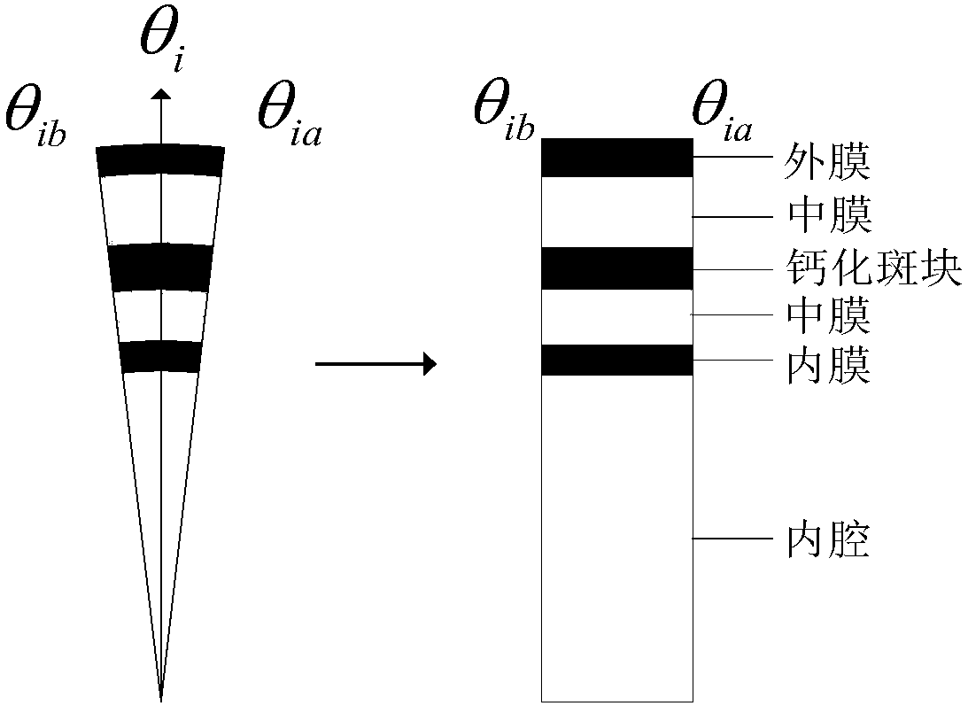 Biological magnetic photoacoustic combined endoscopic imaging method