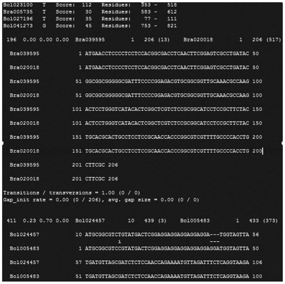 A method for batch calculation of SNP sites in genome coding regions between closely related species