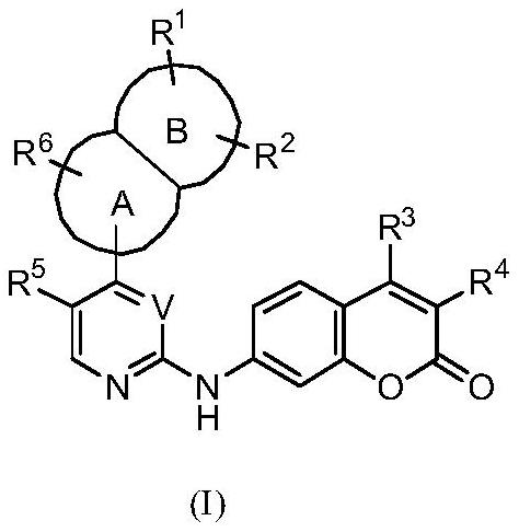 Protein kinase inhibitor and derivatives thereof, preparation method, pharmaceutical composition and application