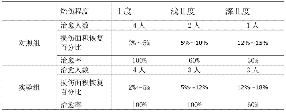 Traditional Chinese medicine powder for treating burn and scald and its preparation method