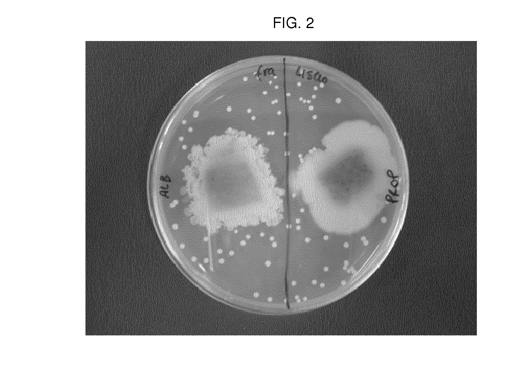 Edible slow dissolving film for treating oral ulcerations