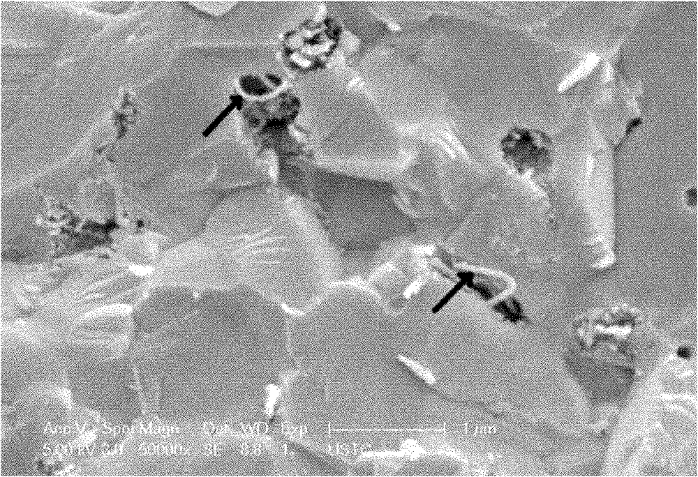 Carbon nanotube reinforced alumina ceramic composite material and preparation method thereof